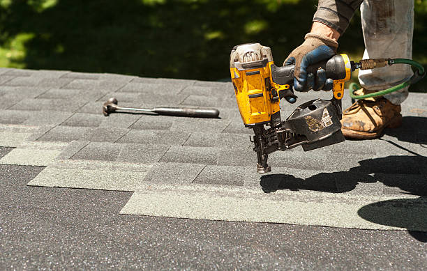 Best Roof Moss and Algae Removal  in Lexington, IL